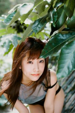 黄奕演的电视